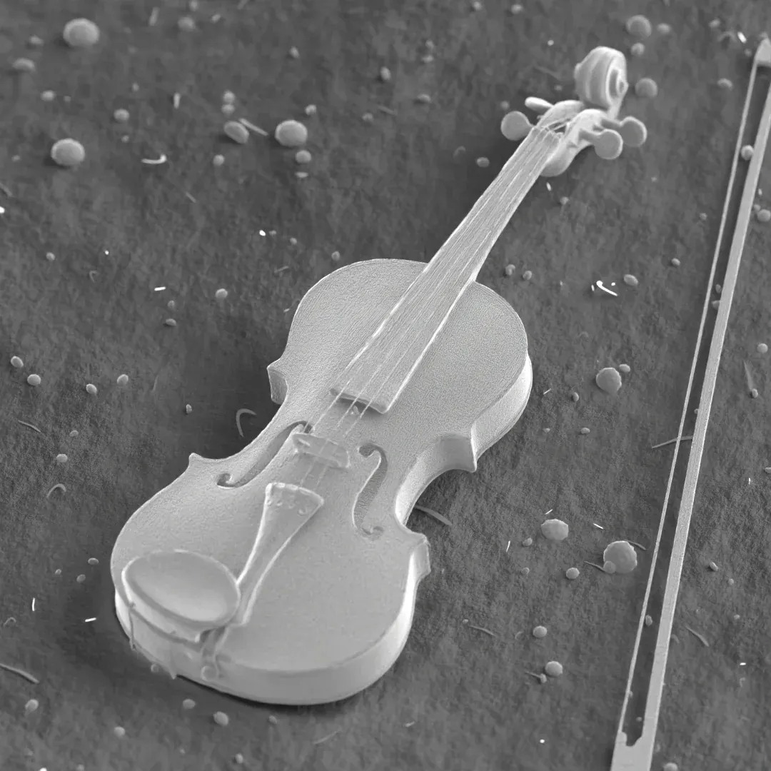 electron microscope image of a tiny violin