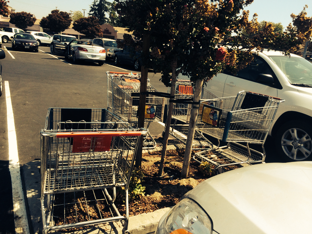 How to Identify Human Garbage