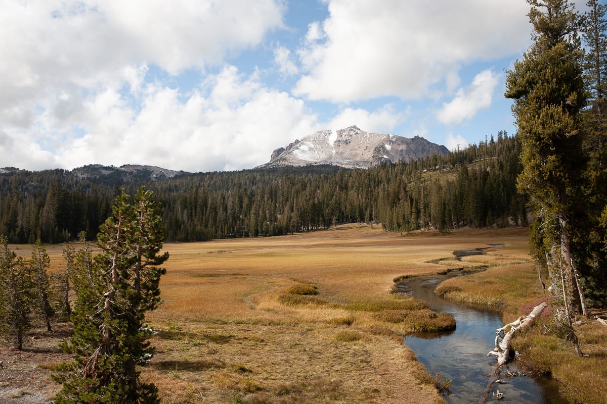 A Long Delayed Activity