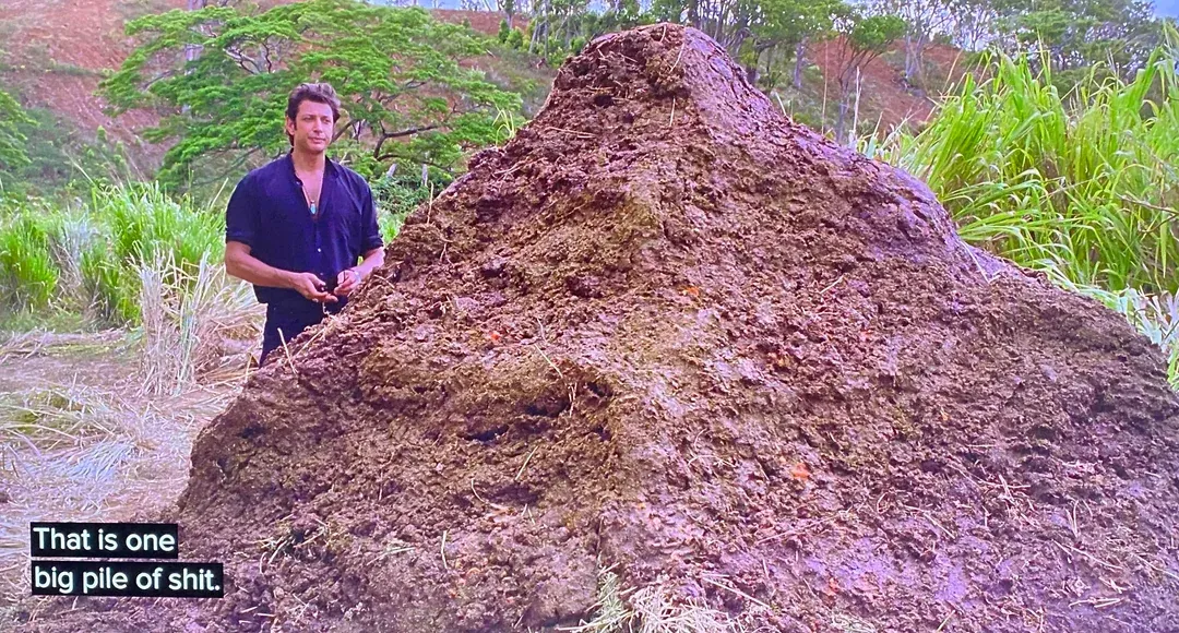 AYFKM: This is the biggest steaming pile of dung I have ever seen