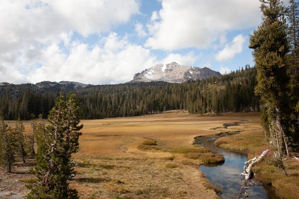 A Long Delayed Activity