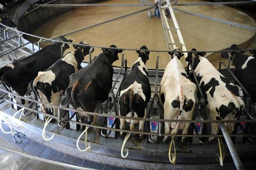 Immigration, agriculture (and others)